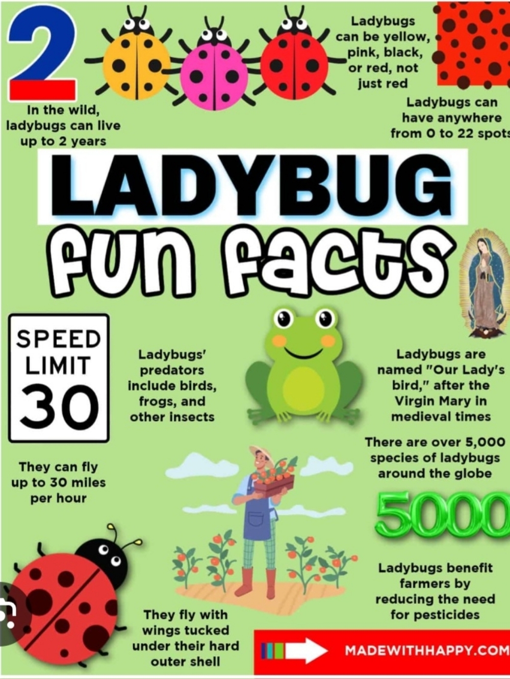 DO NOT USE UNLISTED Crazy Train As Desc Seen In Live Show. You Are Not Alone 🦩